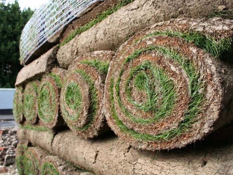 Surrey turfing installers